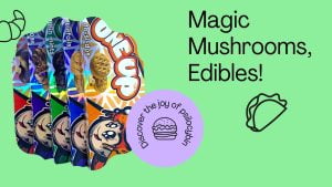 magic mushrooms shop